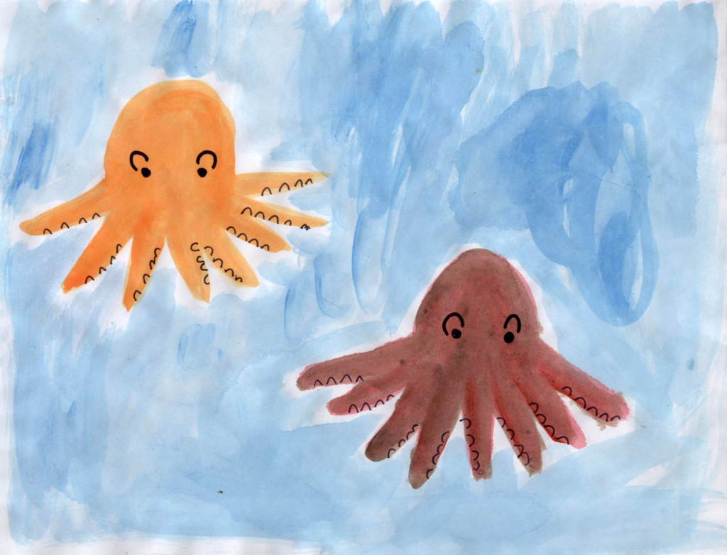 Octopus (Wonderful Wildlife, Book 4) by Ashlee Craft - Octopodes