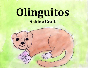 Olinguitos (Wonderful Wildlife, Book 5) by Ashlee Craft - Cover