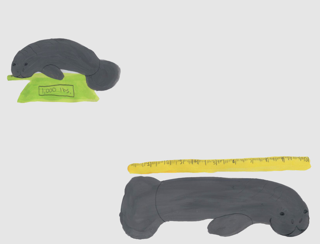 Manatees (Wonderful Wildlife, Book 1) by Ashlee Craft - Manatee Size