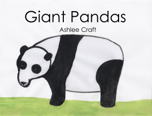 Giant Pandas (Wonderful Wildlife, Volume 2) by Ashlee Craft