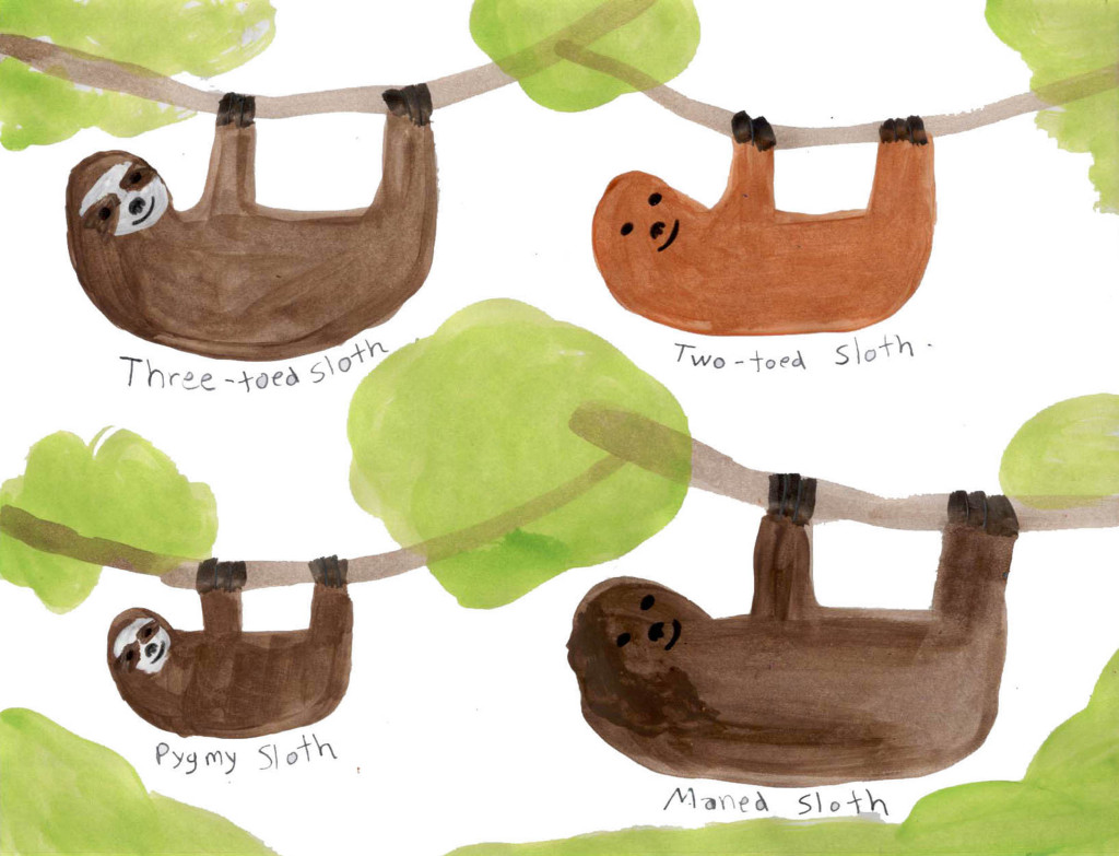 Sloths (Wonderful Wildlife, Book 3) by Ashlee Craft - Sloths
