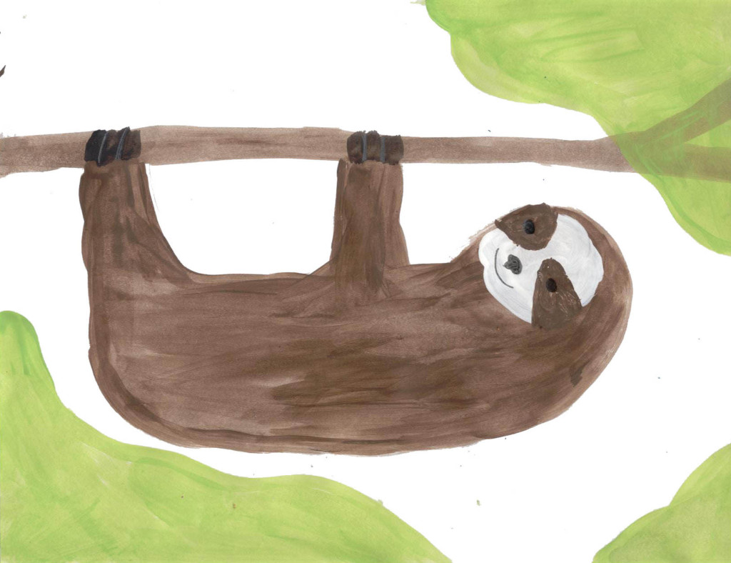 Sloths (Wonderful Wildlife, Book 3) by Ashlee Craft - Three-Toed Sloth