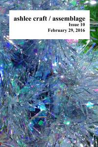 Ashlee Craft / Assemblage, Issue 10 - Cover