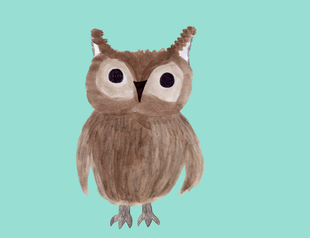 Owl #7 from Owls (Wonderful Wildlife, #7) by Ashlee Craft