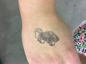 Tampa Repticon 2018 Tortoise Hand Stamp