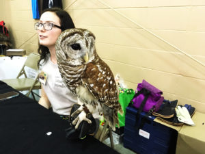 Owl at Friends of Largo Nature Parks - Tampa Repticon