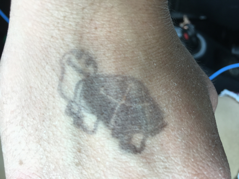 Tampa Repticon 2018 Tortoise Hand Stamp