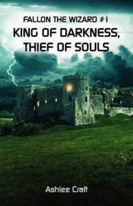 Fallon the Wizard Book #1 by Ashlee Craft